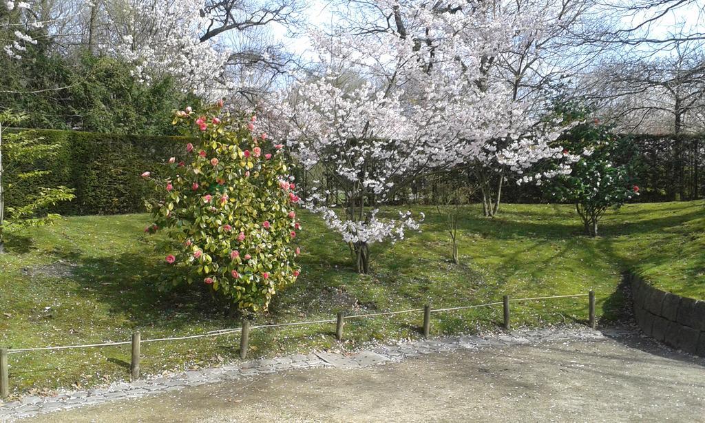 B&B Appelkers IIKortessem エクステリア 写真